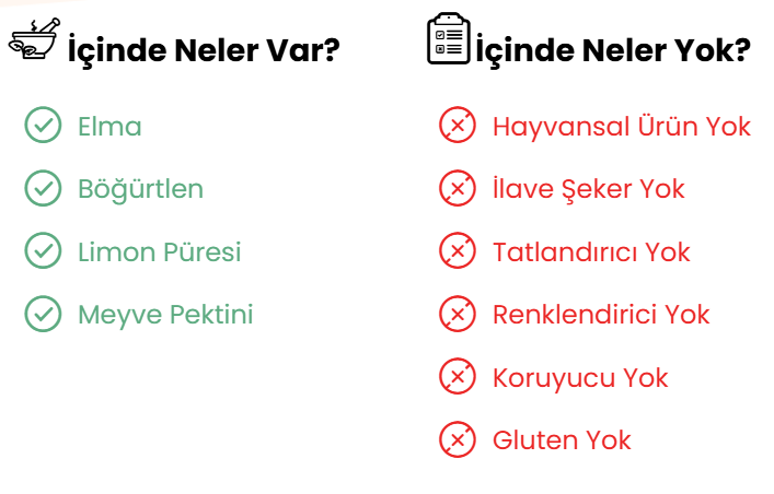 MEYVE BARI ELMA BÖĞÜRTLEN