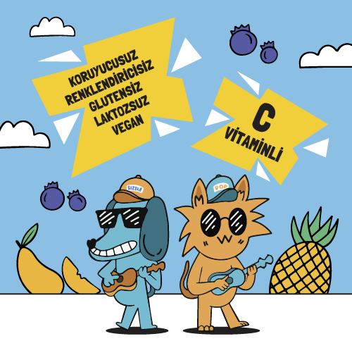 Sizzle-Pop Dancing Friends Ananas Mango Yabanmersini Pouch 200 ml